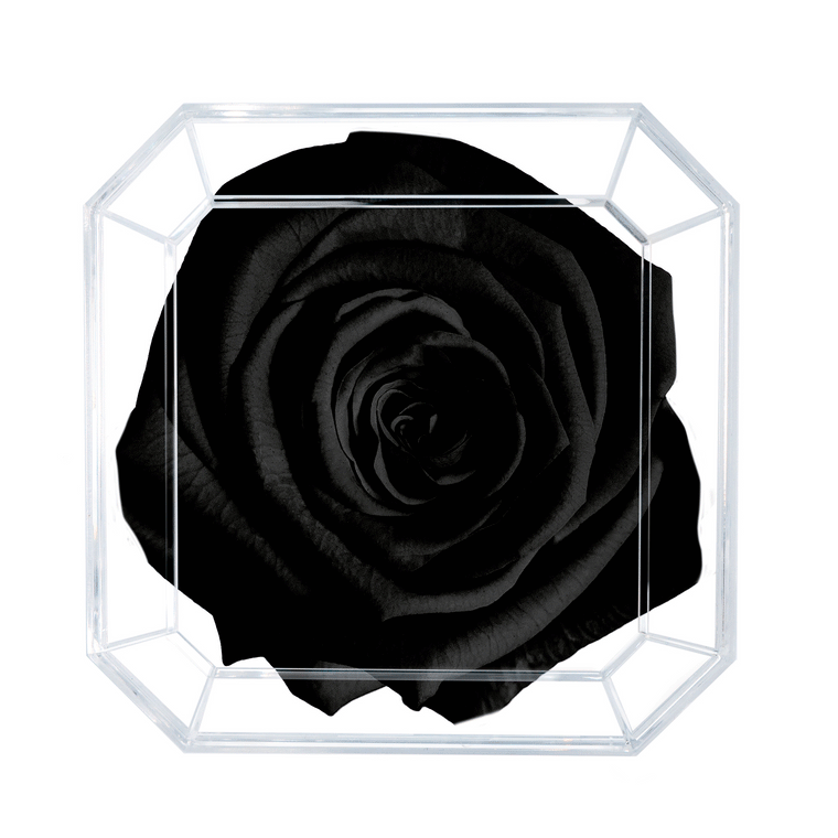 SOLO | BLACK DIAMOND